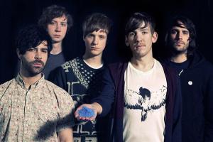 foals